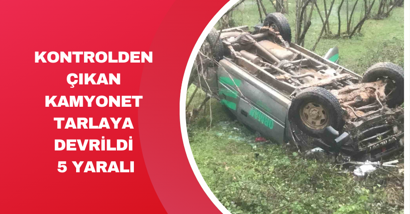 Kontrolden çıkan kamyonet tarlaya devrildi: 5 yaralı