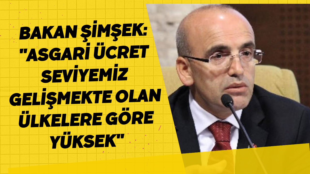 Bakan Şimşek: 