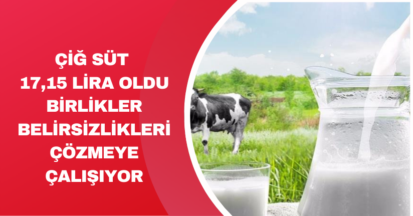 Çiğ süt 17,15 lira oldu, birlikler belirsizlikleri çözmeye çalışıyor