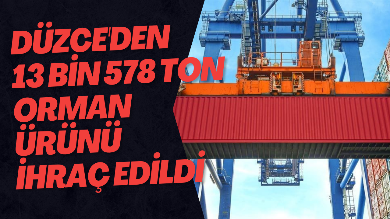 Düzce'den 13 Bin 578 Ton Orman Ürünü İhraç Edildi