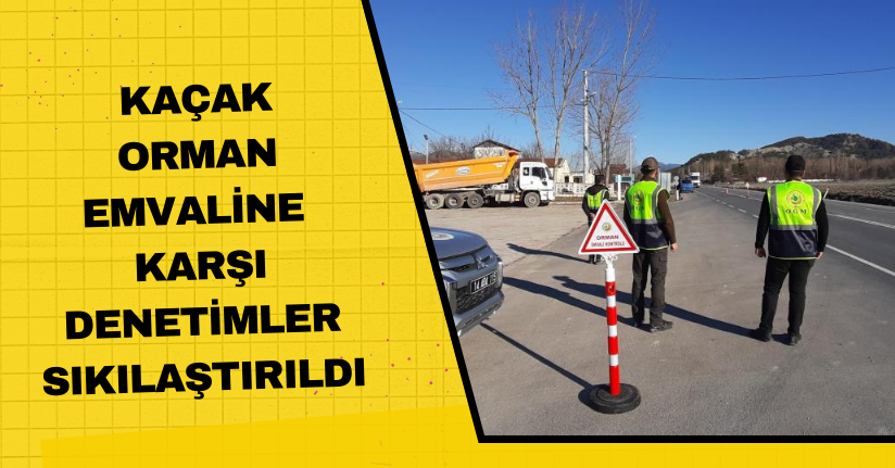 Kaçak orman emvaline karşı denetimler sıkılaştırıldı