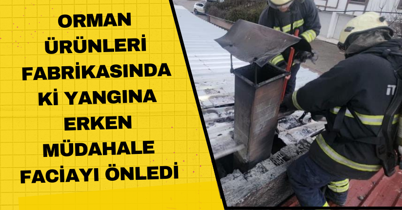 Orman ürünleri fabrikasındaki yangına erken müdahale faciayı önledi