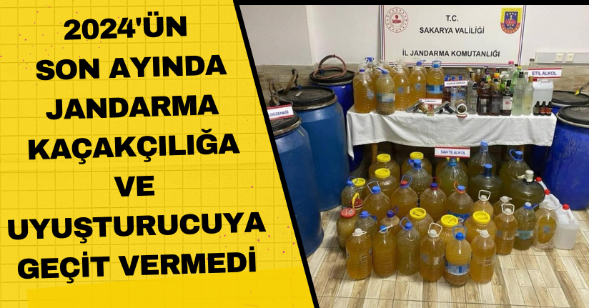 2024'ün son ayında jandarma kaçakçılığa ve uyuşturucuya geçit vermedi