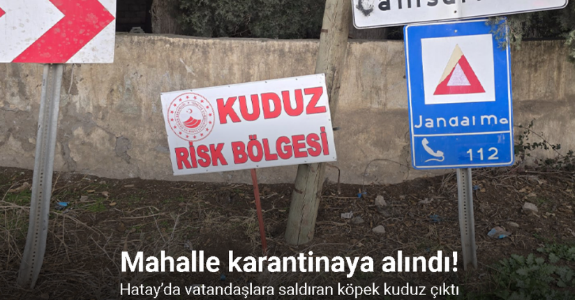 Hatay’da vatandaşlara saldıran köpek kuduz çıktı, mahalle karantinaya alındıHatay’da vatandaşlara saldıran köpek kuduz çıktı, mahalle karantinaya alındı