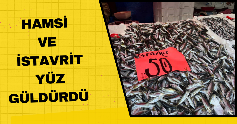 Hamsi ve istavrit yüz güldürdü