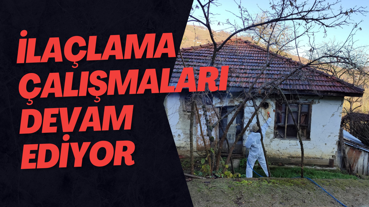 İlaçlama Çalışmaları Devam Ediyor