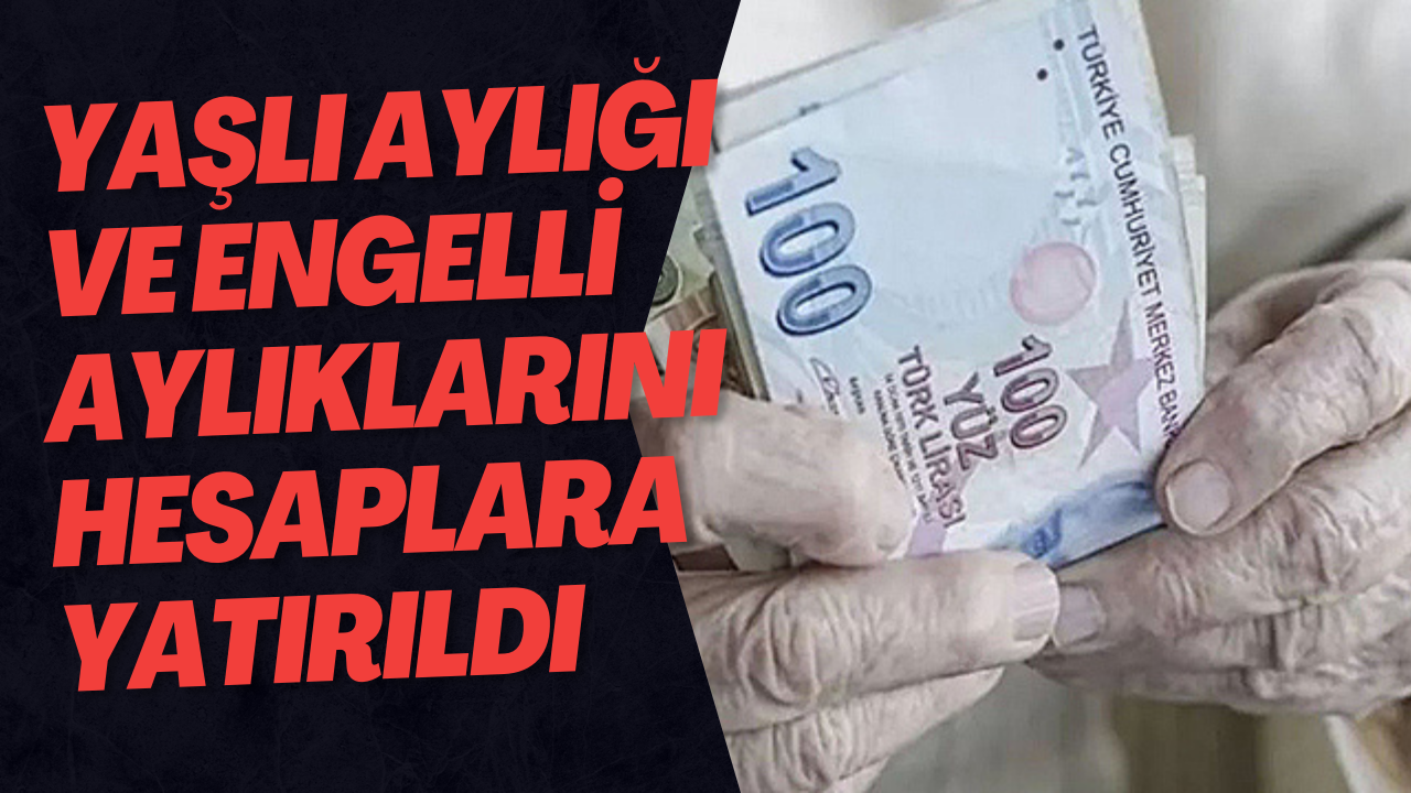 Yaşlı Aylığı Ve Engelli Aylıklarını Hesaplara Yatırıldı