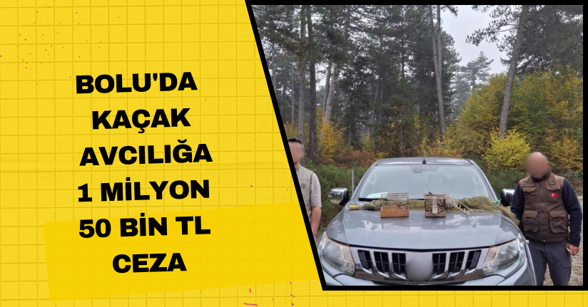 Bolu'da kaçak avcılığa 1 milyon 50 bin TL ceza