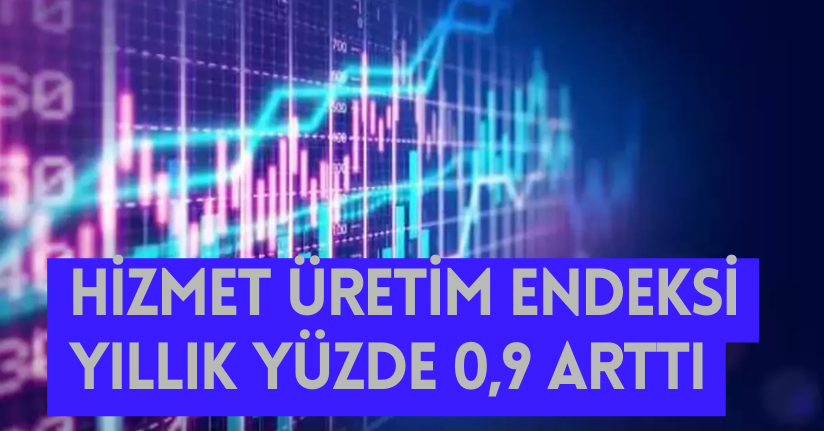 Hizmet üretim endeksi yıllık yüzde 0,9 arttı