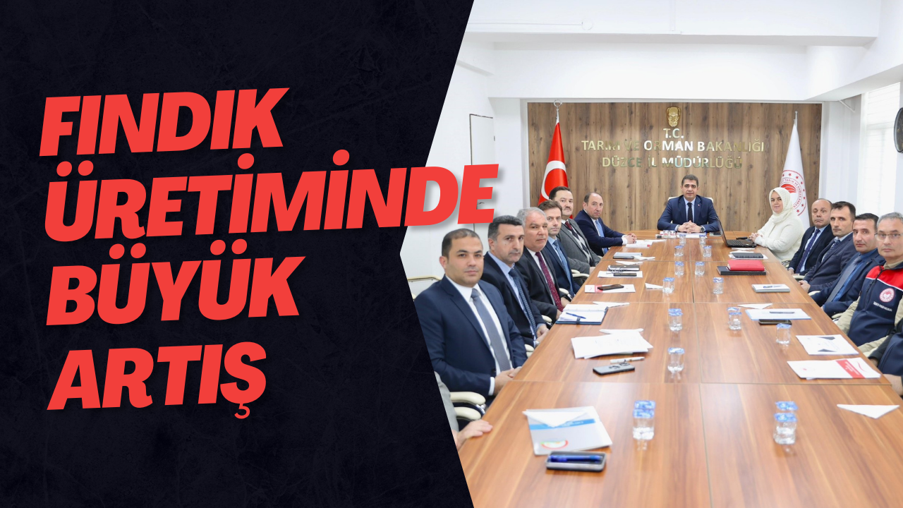 Fındık Üretiminde Büyük Artış