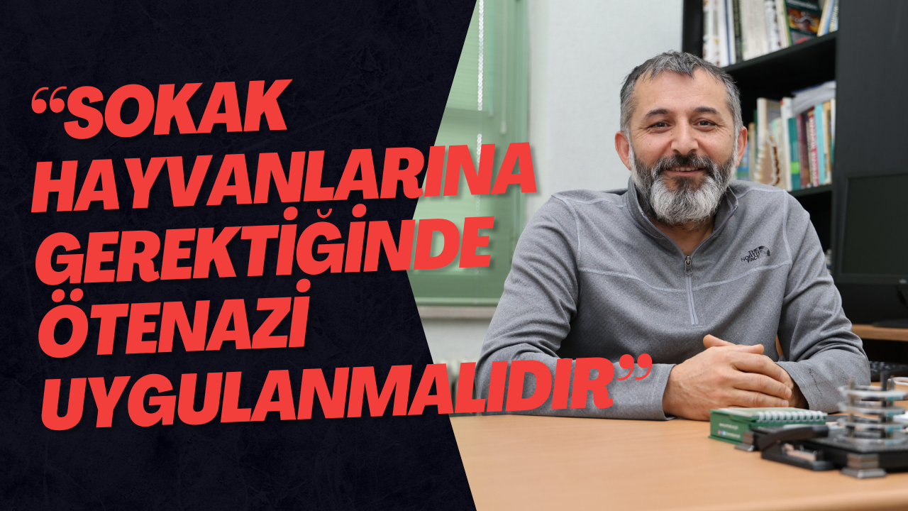 “Sokak Hayvanlarına Gerektiğinde Ötenazi Uygulanmalıdır”