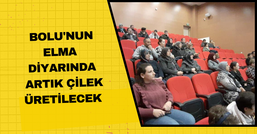 Bolu'nun elma diyarında artık çilek üretilecek