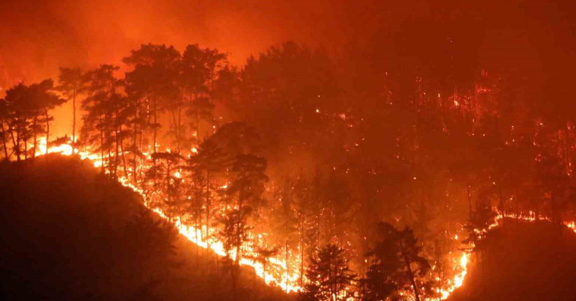 Muğla’da yaz sezonunda günde ortalama 6 yangına müdahale edildi