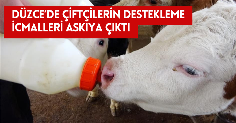 Düzce’de çiftçilerin destekleme icmalleri askıya çıktı