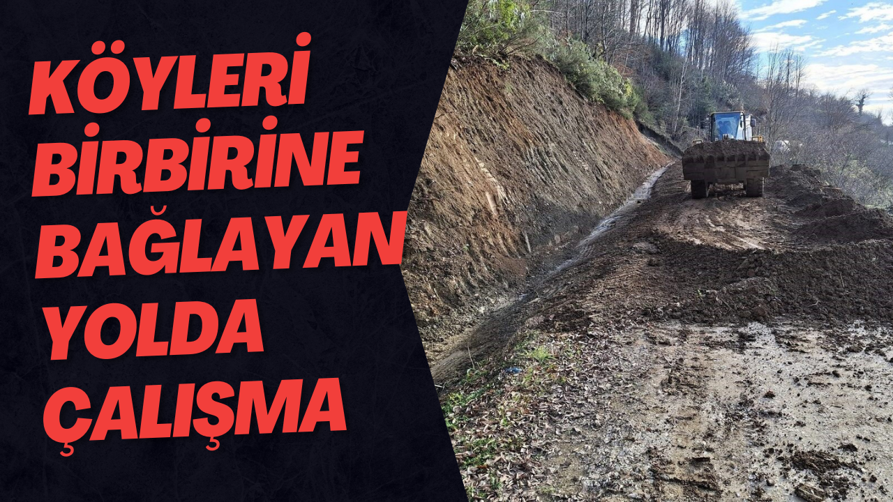 Köyleri Birbirine Bağlayan Yolda Çalışma