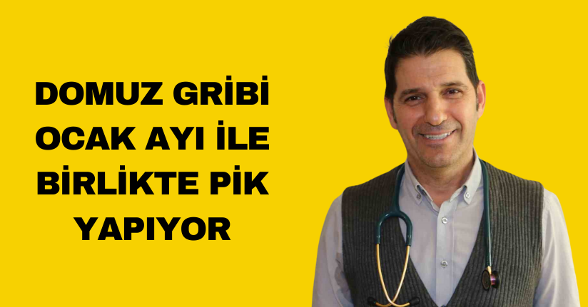 Domuz gribi ocak ayı ile birlikte pik yapıyor