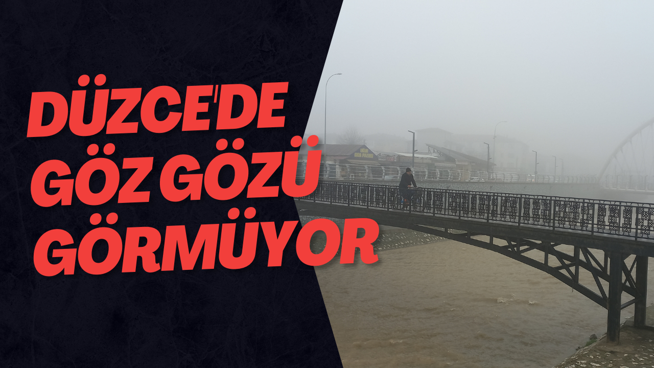 Düzce'de Göz Gözü Görmüyor