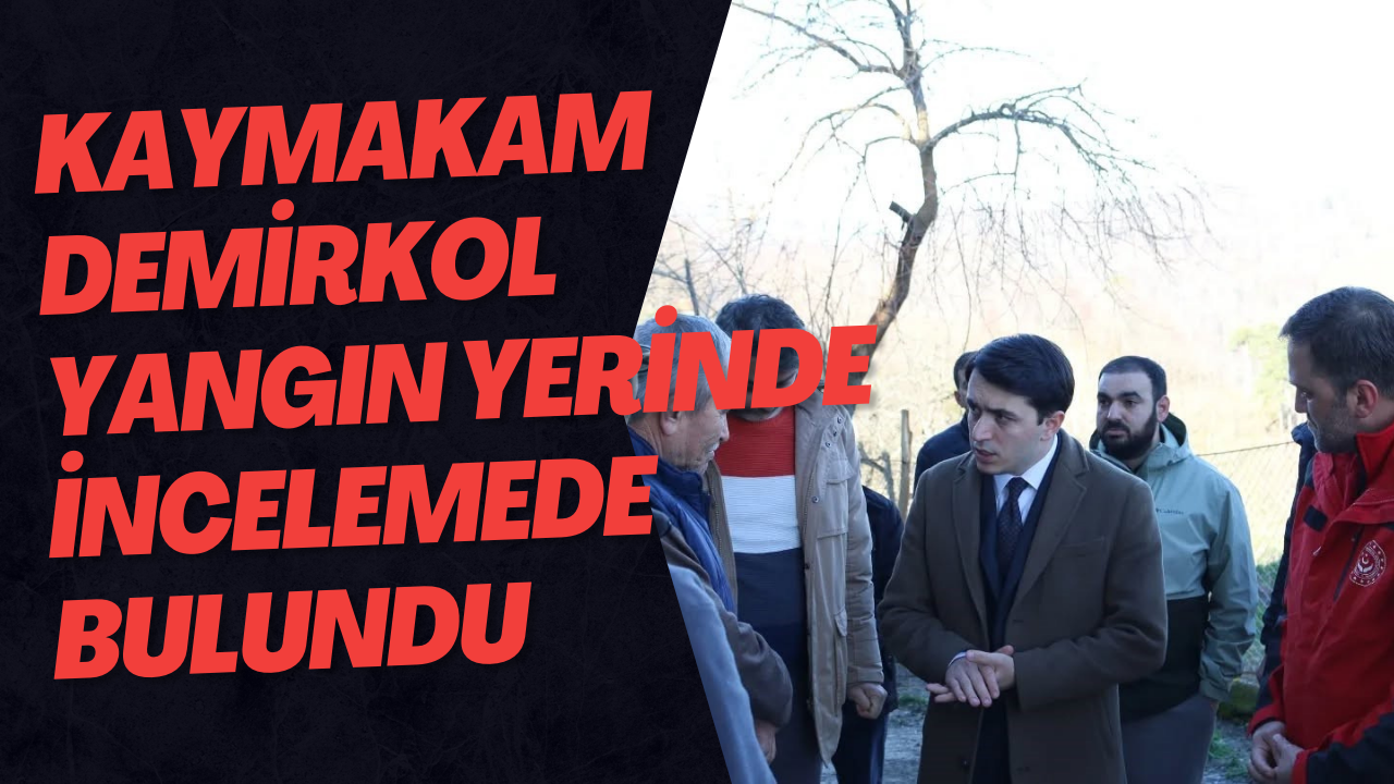 Kaymakam Demirkol Yangın Yerinde İncelemede Bulundu