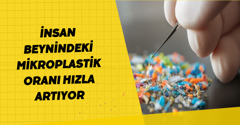 Araştırma: İnsan beynindeki mikroplastik oranı hızla artıyor