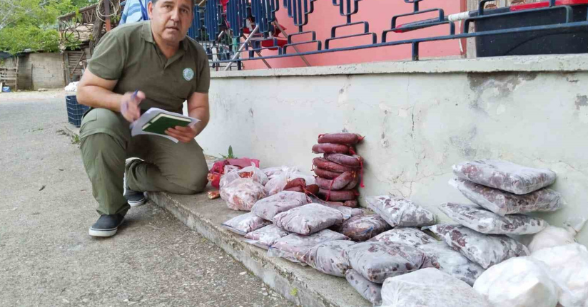 Antalya’da yasa dışı avlanan 48 kilo yaban keçisi ve kızıl geyik eti buzdolabında bulundu