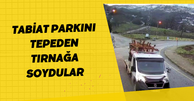 Tabiat Parkını tepeden tırnağa soydular