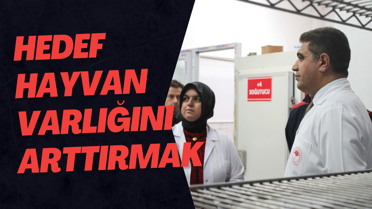 Hedef Hayvan Varlığını Arttırmak