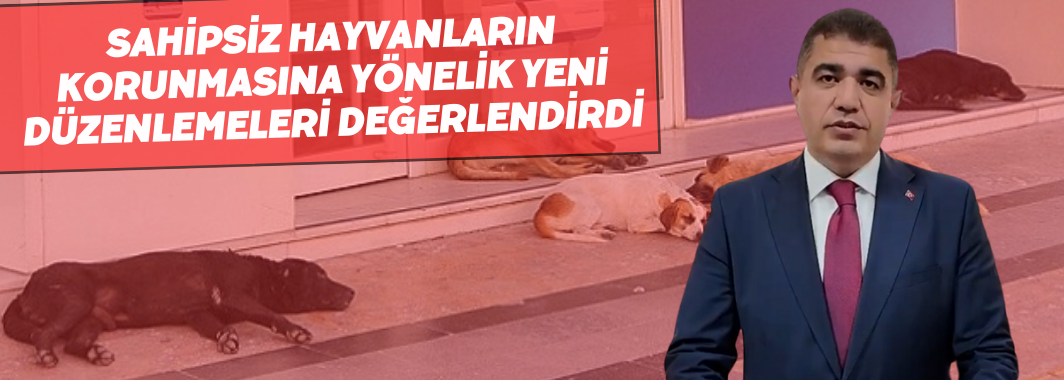 Valisi Selçuk Aslan, Sahipsiz Hayvanların Korunmasına Yönelik Yeni Düzenlemeleri Değerlendirdi