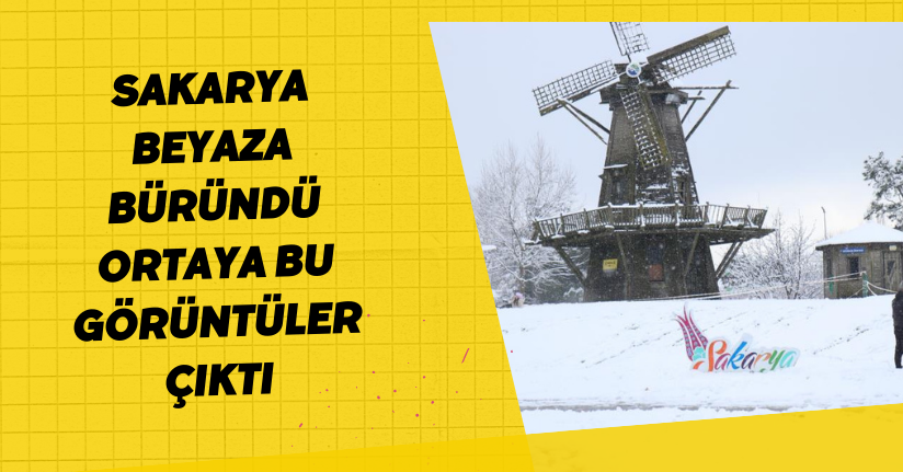 Sakarya beyaza büründü: Ortaya bu görüntüler çıktı