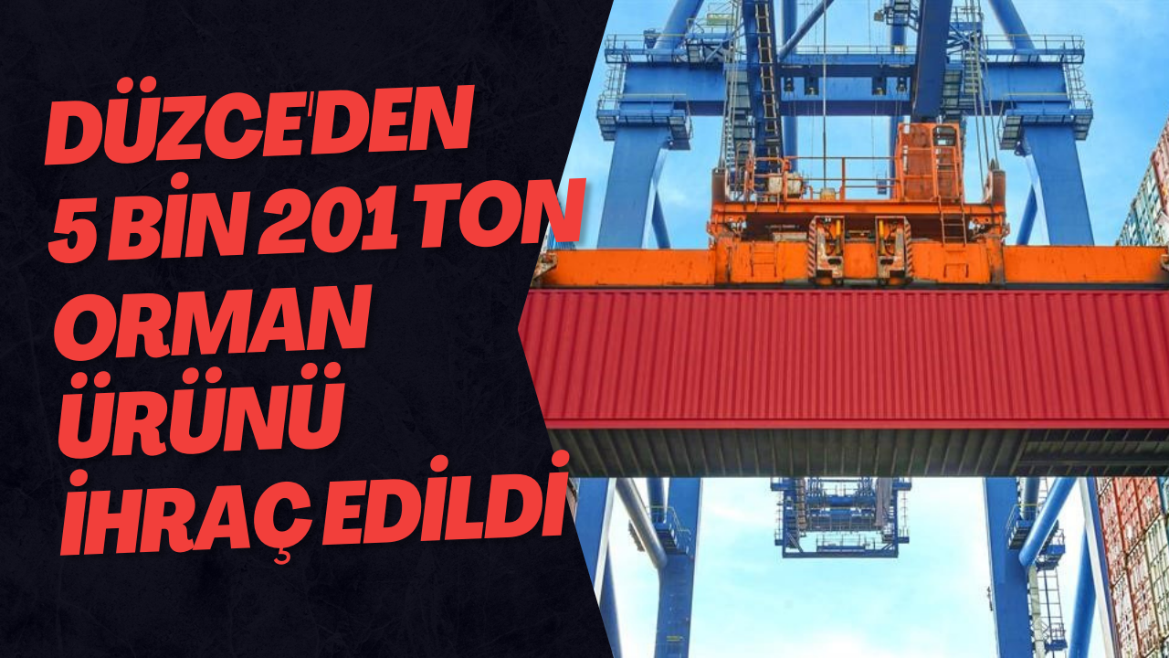 Düzce'den 5 Bin 201 Ton Orman Ürünü İhraç Edildi