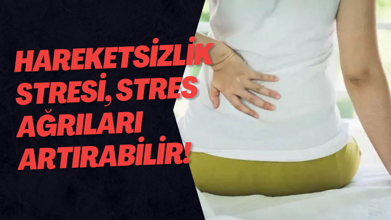 Hareketsizlik Stresi, Stres Ağrıları Artırabilir!