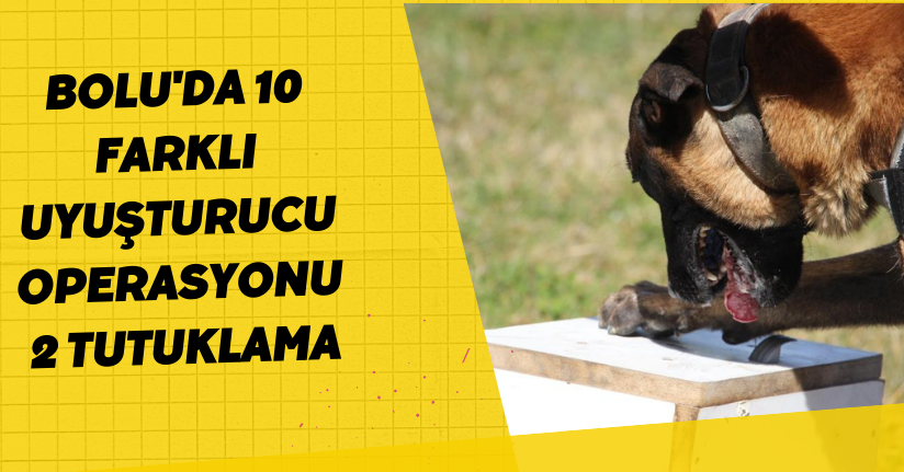  Bolu'da 10 farklı uyuşturucu operasyonu: 2 tutuklama 