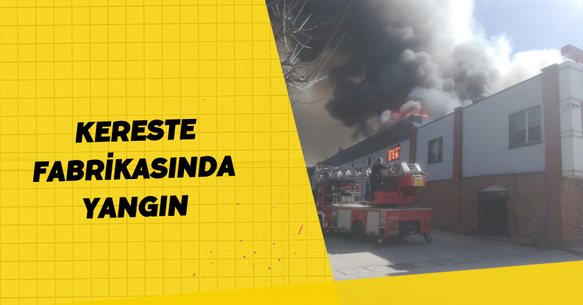 Kereste fabrikasında yangın