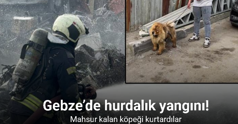 Gebze’de hurdalık alanda yangın: Gökyüzü siyaha büründü