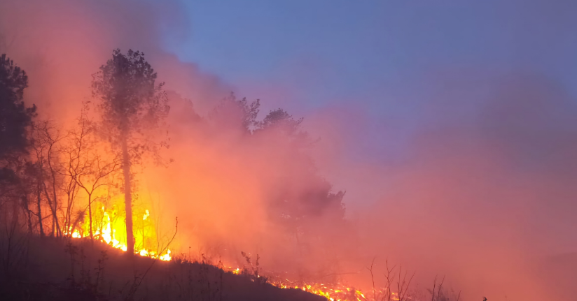 Hatay'da çıkan orman yangını kontrol altına alındı