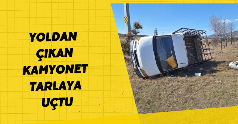 Yoldan çıkan kamyonet tarlaya uçtu: 2 yaralı