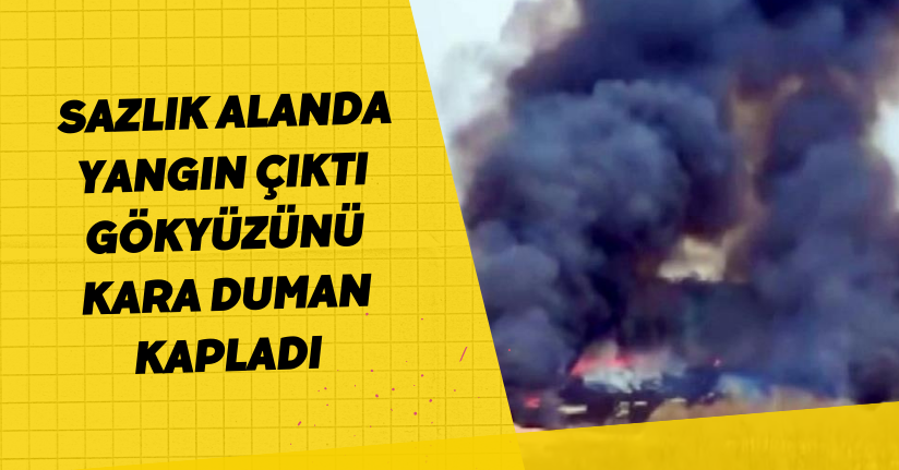  Sazlık alanda yangın çıktı: Gökyüzünü kara duman kapladı