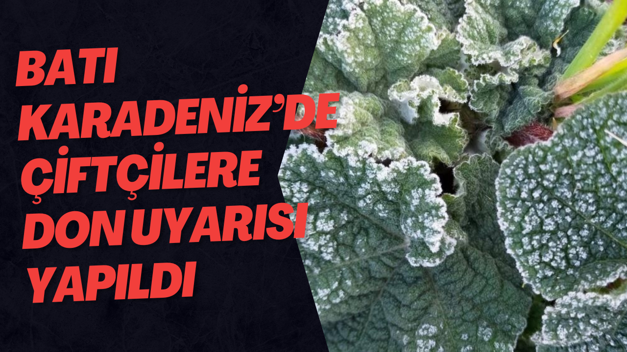 Batı Karadeniz’de Çiftçilere Don Uyarısı Yapıldı