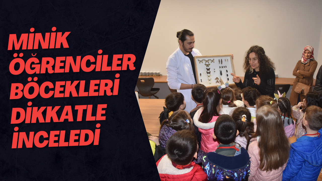 Minik Öğrenciler Böcekleri Dikkatle İnceledi