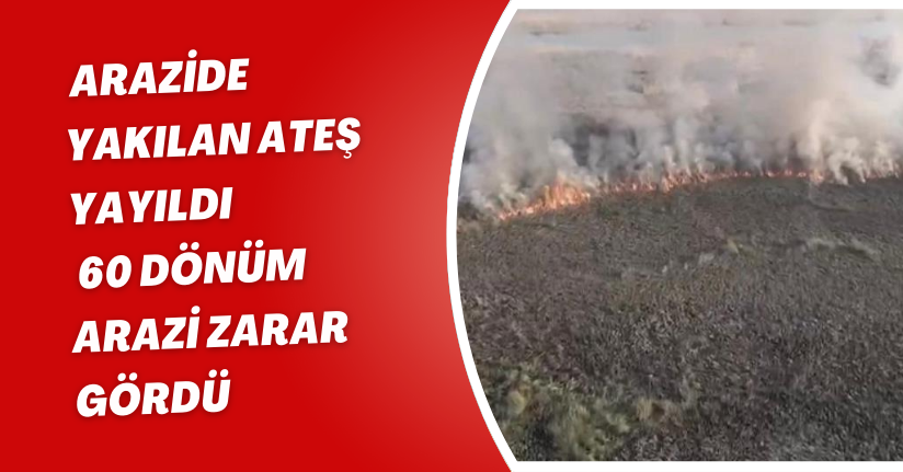 Arazide yakılan ateş yayıldı: 60 dönüm arazi zarar gördü