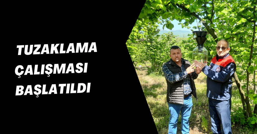 Gümüşova'dan Kahverengi Kokarcaya Karşı Örnek Proje