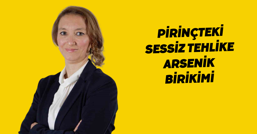 Pirinçteki sessiz tehlike: Arsenik birikimi