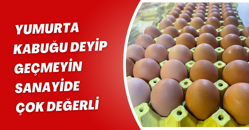 Yumurta kabuğu deyip geçmeyin sanayide çok değerli