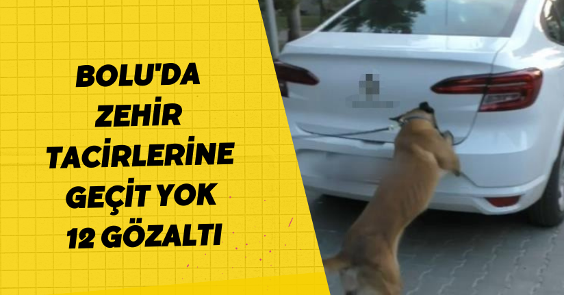 Bolu'da zehir tacirlerine geçit yok: 12 gözaltı