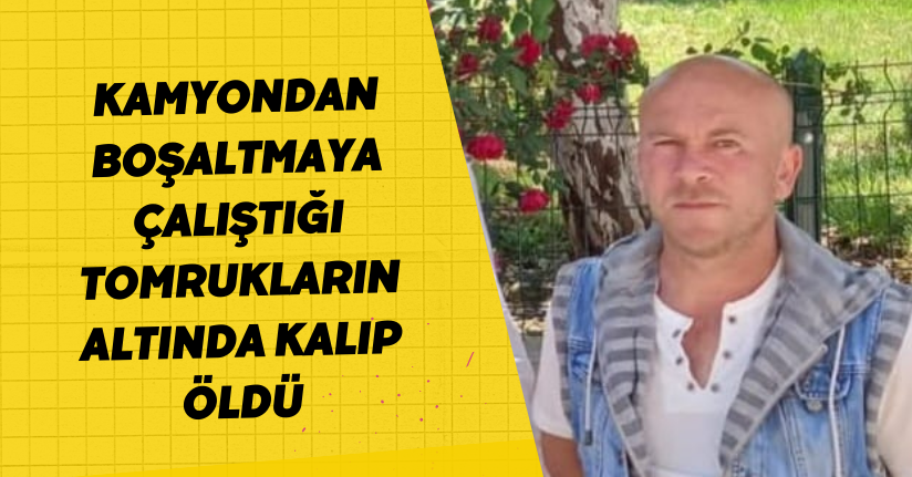Kamyondan boşaltmaya çalıştığı tomrukların altında kalıp öldü