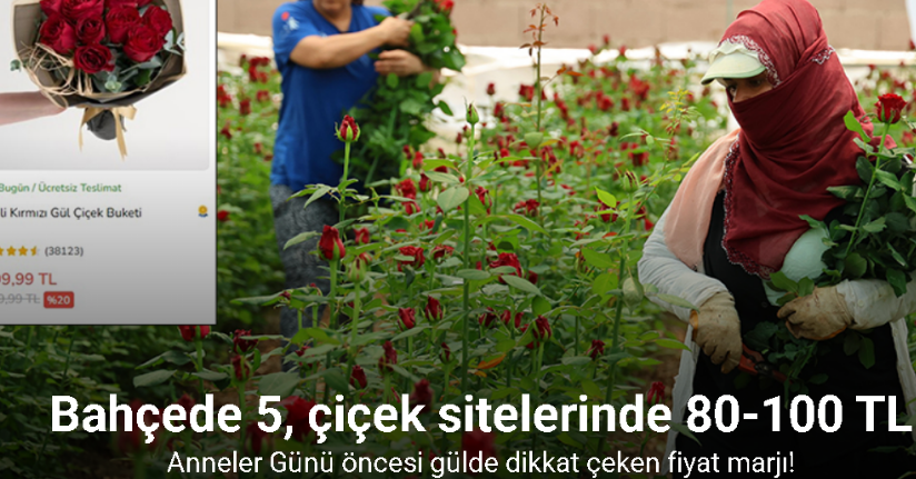 Anneler Günü öncesi gülde dikkat çeken fiyat marjı: Bahçede 5, çiçek sitelerinde 80-100 TL