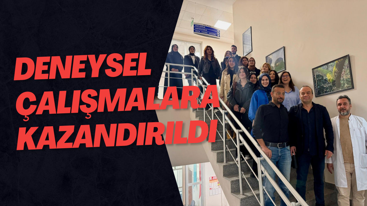 Deneysel Çalışmalara Kazandırıldı