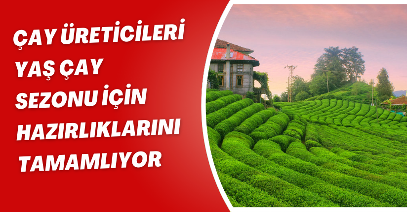 Çay üreticileri yaş çay sezonu için hazırlıklarını tamamlıyor