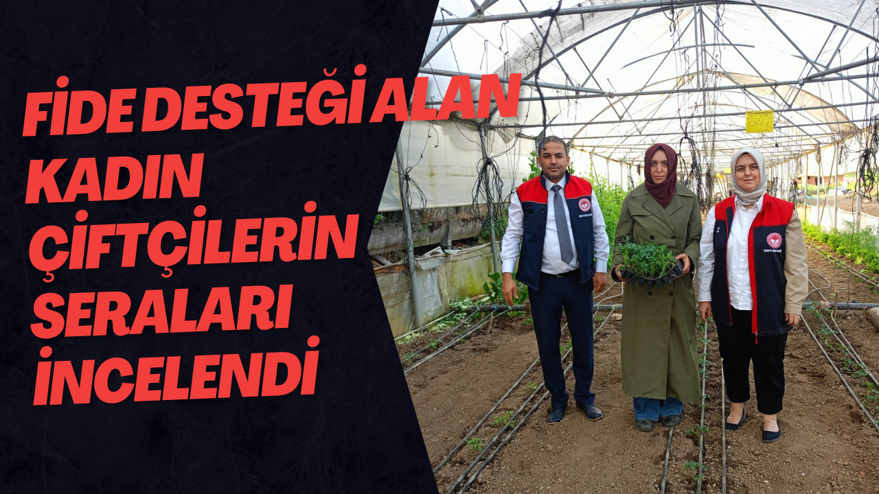 Fide Desteği Alan Kadın Çiftçilerin Seraları İncelendi
