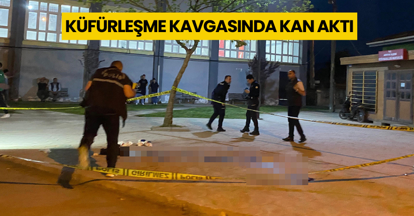 Küfürleşme kavgasında kan aktı