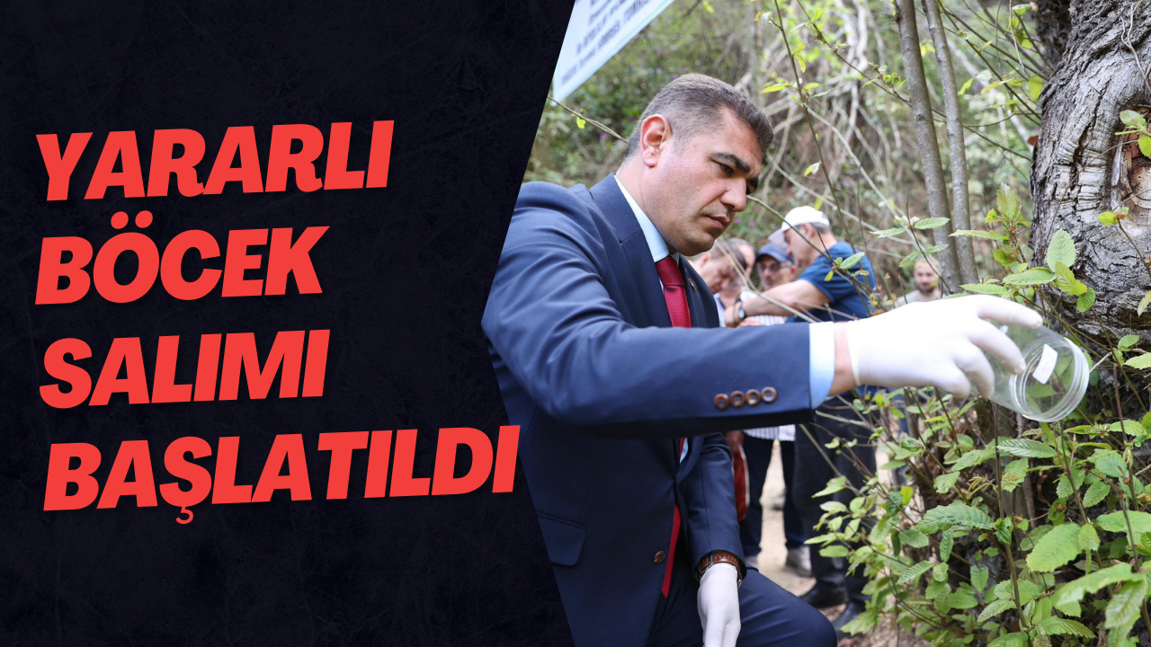 Yararlı Böcek Salımı Başlatıldı